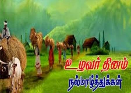 உழவர் திருநாள்