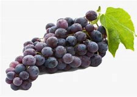 பன்னீர்  திராட்சை