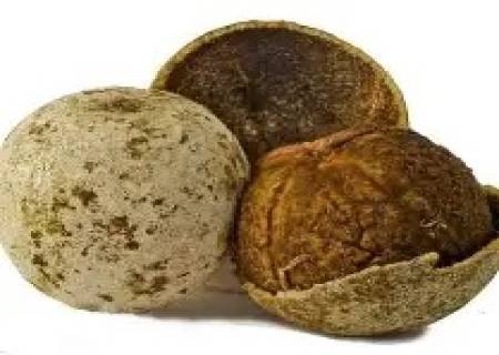 இதயத்தை பலம் பெறச் செய்யும் விளாம்பழம்