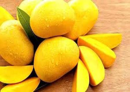 கோடையில் மாம்பழங்கள் கெட்டுப்போவதைத் தடுக்க சில குறிப்புகள்.
