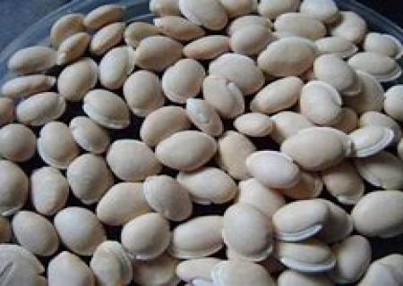 பணம் பெருக தண்ணீர்ல இதை  போடுங்க.