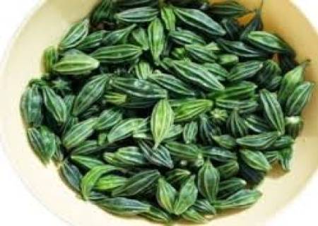 குடற்புழு பிரச்சினை உள்ளவர்களுக்கு சிறந்த மருந்து அதலைக்காய்..