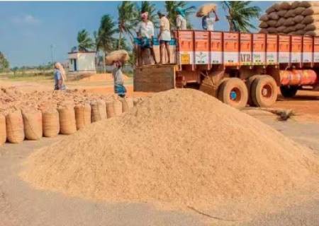 ராஜபாளையத்தில் நெல் கொள்முதல் நிலையம் துவக்கம்