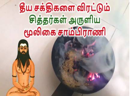 சித்தர்கள் அருளிய மூலிகை சாம்பிராணி.
