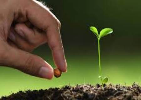 விவசாயமப்பழமொழி ‘‘ஆடிப்பட்டம் தேடி விதை’’