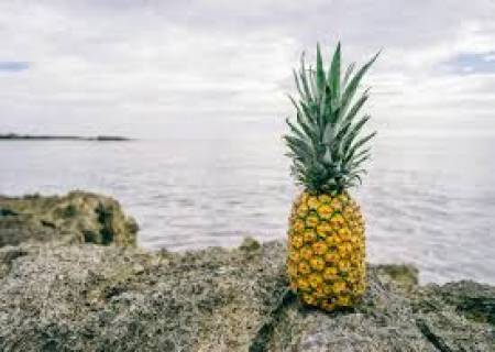 அன்னாசிப்பழம்.