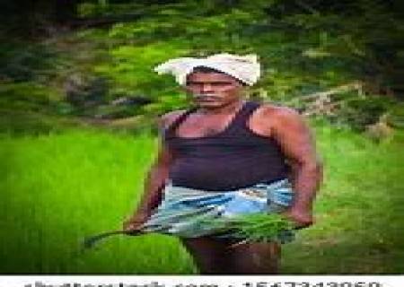 ‘‘உழுகிறபோது ஊருக்குப் போயிட்டு அறுக்கிறபோது அரிவாளோடு வந்தானாம்’’