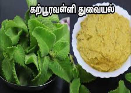 கற்பூரவல்லி துவையல் .