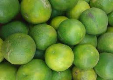 செரிமான மண்டலத்தை தூண்டக் கூடிய சாத்துக்குடி.