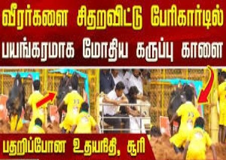 பார்வையாளர்களை மெய்சிலிர்க்க வைத்த பாலமேடு ஜல்லிக்கட்டு.