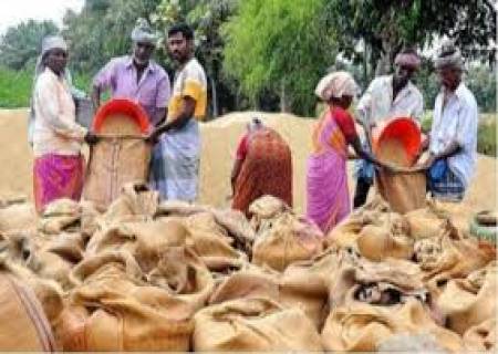 சேத்தூர் அடுத்த கோவிலுாரில் அரசு சார்பில் நெல் கொள்முதல் நிலையம் திறக்கப்பட்டுள்ளது.