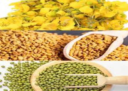 கூந்தல் உதிர்வு நின்று, அடர்த்தியாக வளர....