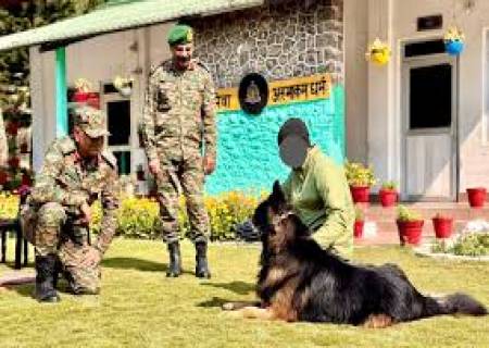 நாட்டை காக்க உயிரையே பணயம் வைத்தராணுவ நாய் டைக்சன்.