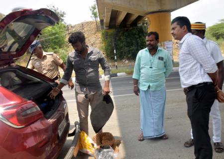தமிழ்நாடு சட்டமன்ற தேர்தல் 2026 -னை முன்னிட்டு, அருப்புக்கோட்டை சட்டமன்றத் தொகுதியில் - பறக்கும் படை மற்றும் நிலையான கண்காணிப்புக் குழுக்கள் மூலம் நடத்தப்படும் வாகன சோதனை பணிகள் ஆய்வு .