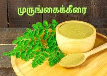 முருங்கை கீரை.