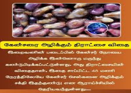 கேன்சரை அழிக்கும் திராட்சை விதை.