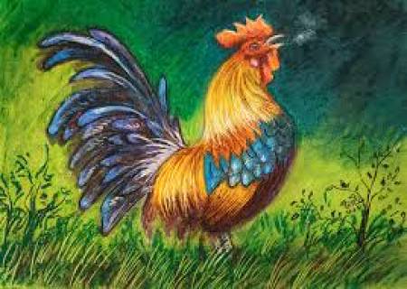 கலர்ப்பூ கொண்டைக்காரன் காலையில் எழுப்பிவிடுவான்.