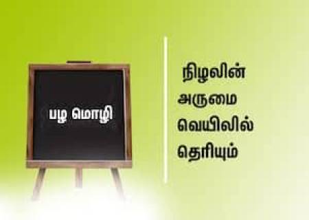நிழலின் அருமை வெயிலில் தெரியும்.