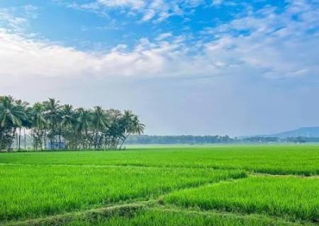 வயல் தின விழா.