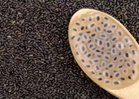 சியா விதைகள் குடலை ‘சுத்தம்’ செய்யுமா?.