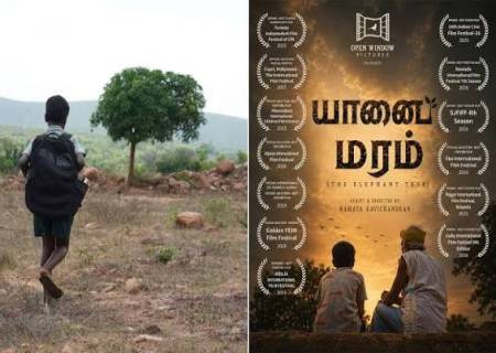 20 சர்வதேச விருதுகளை வென்ற ‘யானை மரம்’.