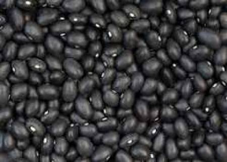 கொண்டைக்கடலை, கருப்பு பீன்ஸ்: நீரிழிவு அபாயத்தில் உதவுமா?