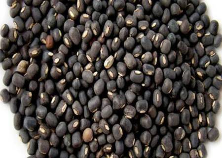 கருப்பு உளுந்து உடல் பலத்தை மீண்டும் தரும்.