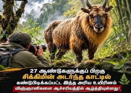 27 ஆண்டுகளுக்குப் பிறகு மீண்டும் கண்டுபிடிக்கப்பட்ட அரிய உயிரினம்.