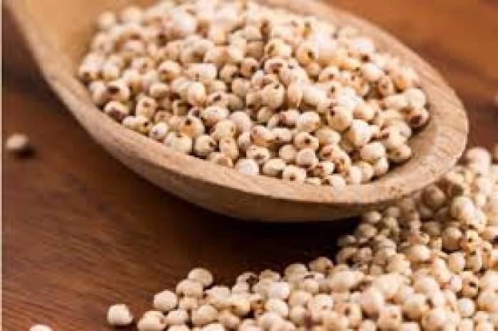 புரதச்சத்து அதிகம் நிறைந்த சோளம்