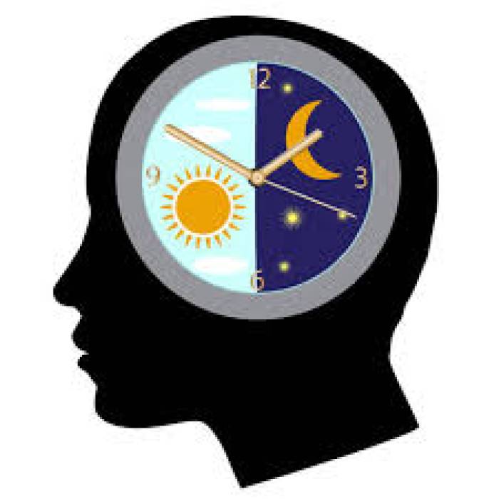 BIO CLOCK என்றால் என்ன?