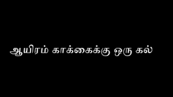 ஆயிரம் காக்கைக்கு ஒரு கல்.