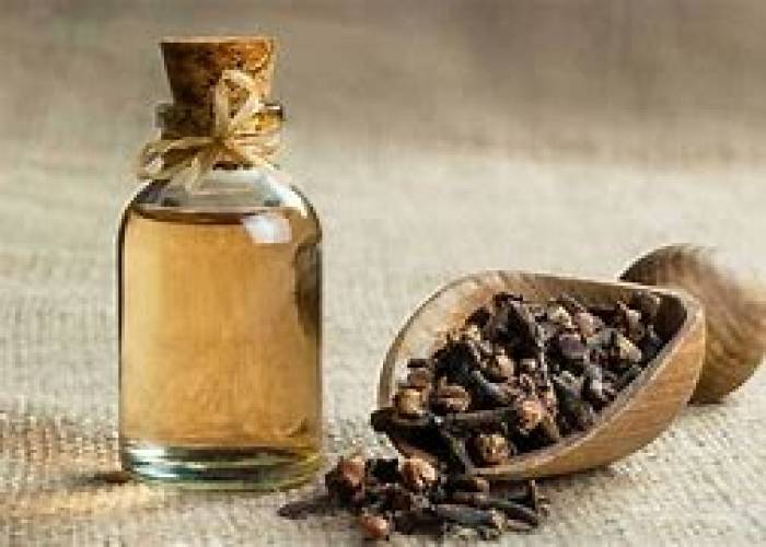 பற்களை ஆரோக்கியமாக்கும் கிராம்பு .