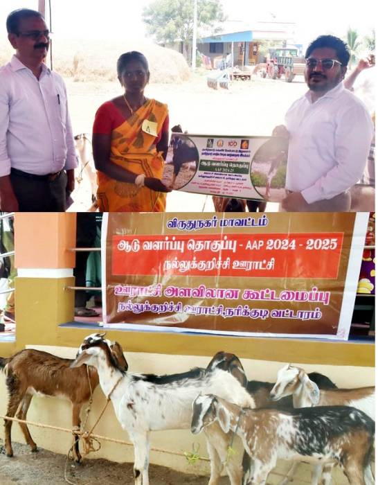மகளிர் சுய உதவிக்குழுக்களை சேர்ந்த 20 பெண்களுக்கு ரூ.14 இலட்சம் மதிப்பில் 200 ஆடுகளை மாவட்ட ஆட்சித்தலைவர்  அவர்கள் வழங்கினார்.