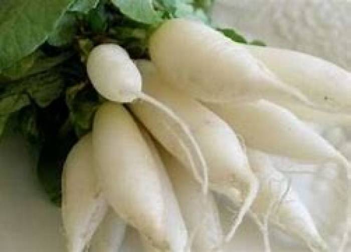 சிறுநீரில் கல் சேராமல் இருக்க முள்ளங்கி.