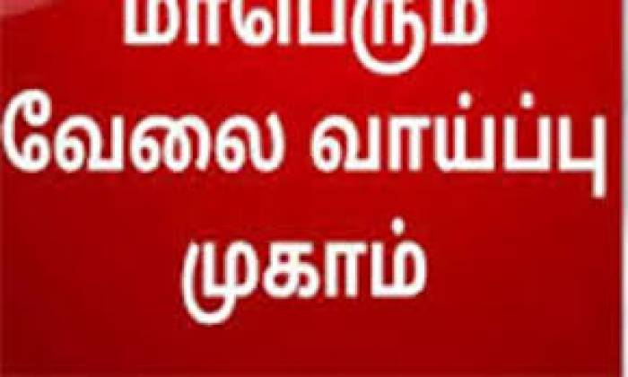 மாவட்ட வேலைவாய்ப்பு மற்றும் தொழில்நெறி வழிகாட்டும் மையத்தின் வாயிலாக தனியார்துறை வேலைவாய்ப்பு முகாம்