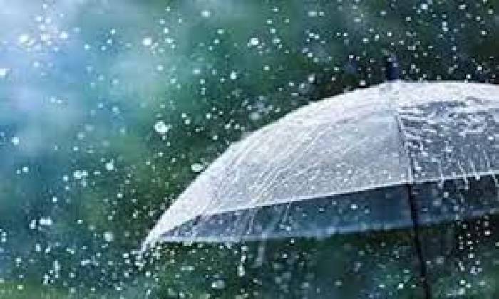 ராஜபாளையம் பகுதியில் தொடர்ந்து சாரல் மழை பெய்து வருவதால்சாரல் மழை