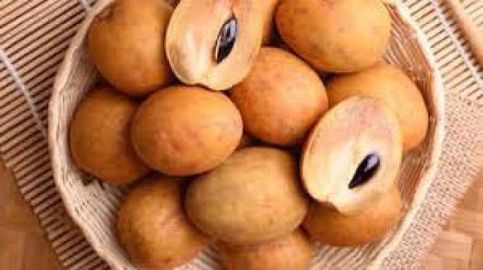 ரத்த அணுக்களை அதிகரிக்கச் செய்யும் சப்போட்டா பழம்