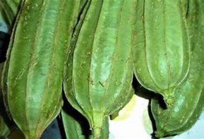 நோய் எதிர்ப்பு சக்தியை மேம்படுத்தும் பீர்க்கங்காய்