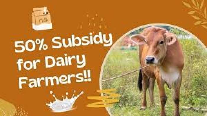 திருச்சுழி மற்றும் நரிக்குடி   (Focus block)   ஊராட்சி  ஒன்றியத்தில்   முதலமைச்சரின் தாயுமானவர் திட்டத்தில் உள்ள விவசாயிகள் சினையுற்ற கறவை பசுக்கள் வைத்திருப்பின் 50 சதவீத மானியத்தில் ஊட்டச் சத்து பெற்று பயனடையலாம்