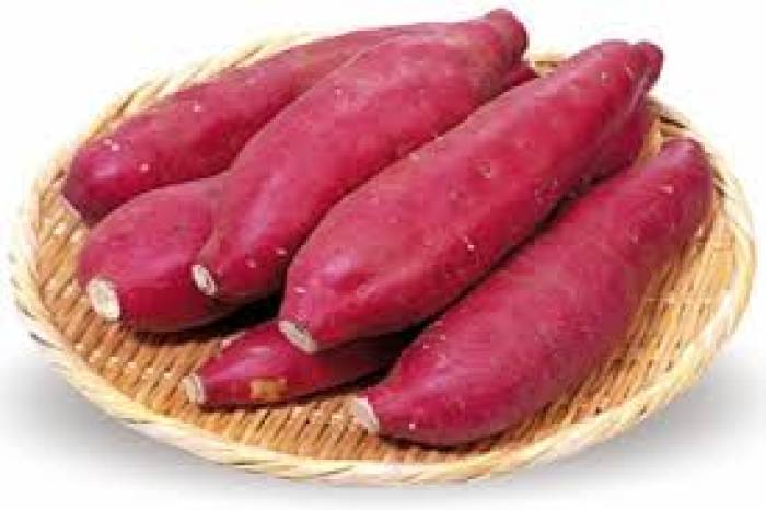 ரத்த செல்கள் உருவாக உதவும் சக்கரவள்ளி கிழங்கு.