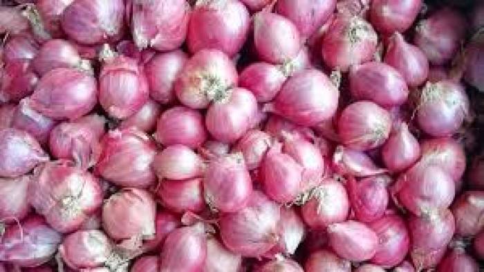 கொழுப்பை கரைக்கும் ஆற்றல் உடைய சின்ன வெங்காயம்.