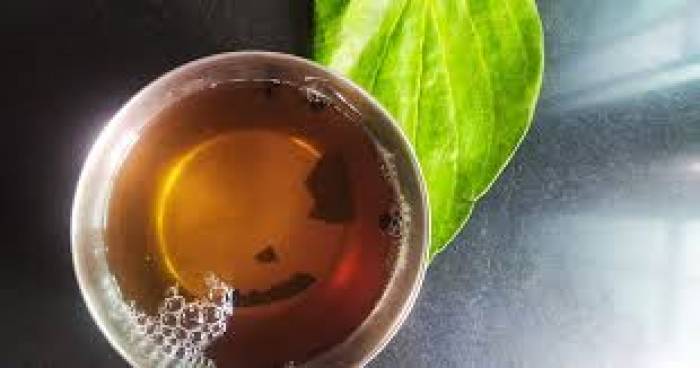 நோய் எ திர்ப்பு சக்தி அதிகரிக்கும்வெற்றிலை கஷாயம்.