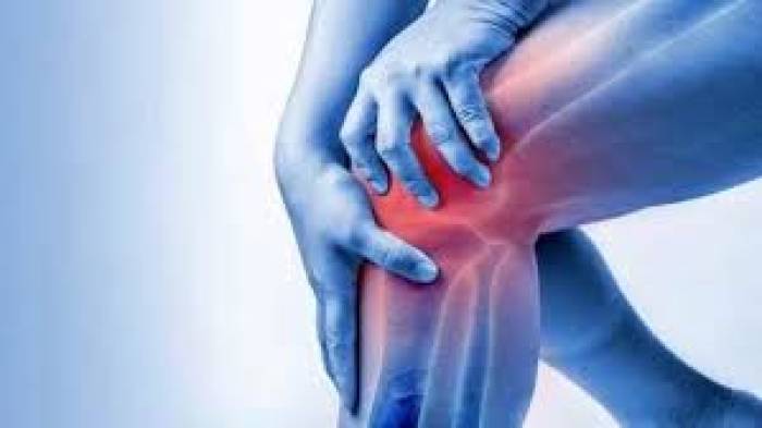 முடக்கத்தான் கீரையைத் தினமும் காலையில் வெறும் வயிற்றில் சாப்பிடமூட்டு வலி குணமாகும்.