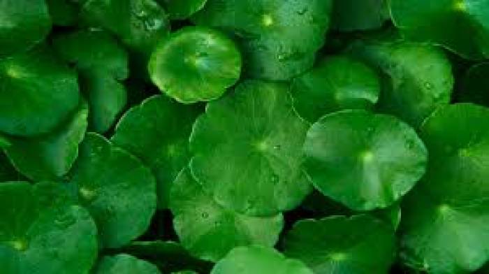 உடலில் உள்ள பிரச்சனைகளுக்கு தீர்வு