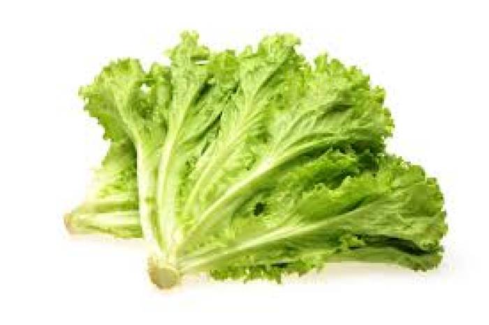 நரம்பு மண்டலம் வலுப்பெற லெட்யூஸ் கீரை