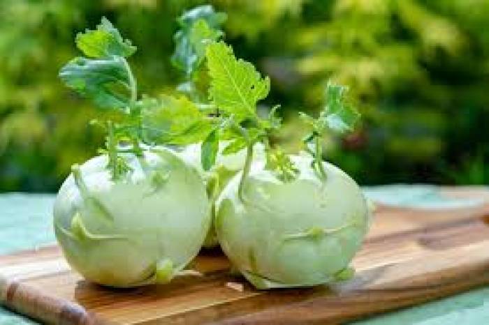 ரத்தச்சோகையை நீக்கும் நூல்கோல்.