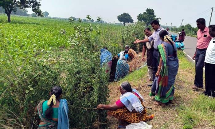 சாத்தூர் நகராட்சி மற்றும் வெம்பக்கோட்டை ஊராட்சி ஒன்றிய பகுதிகளில் நடைபெற்று வரும் சாலைப் பராமரிப்பு பணிகள் குறித்து மாவட்ட ஆட்சித்தலைவர்  அவர்கள் நேரில் சென்று பார்வையிட்டு ஆய்வு மேற்கொண்டார்.