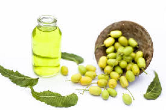 இயற்கையான ரத்தசுத்திகரிப்புமருந்து வேப்பம்பழம்.