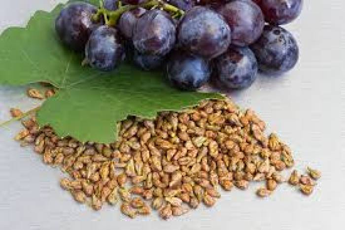 திராட்சை விதை மருத்துவ குணங்கள் நிறைந்தது.
