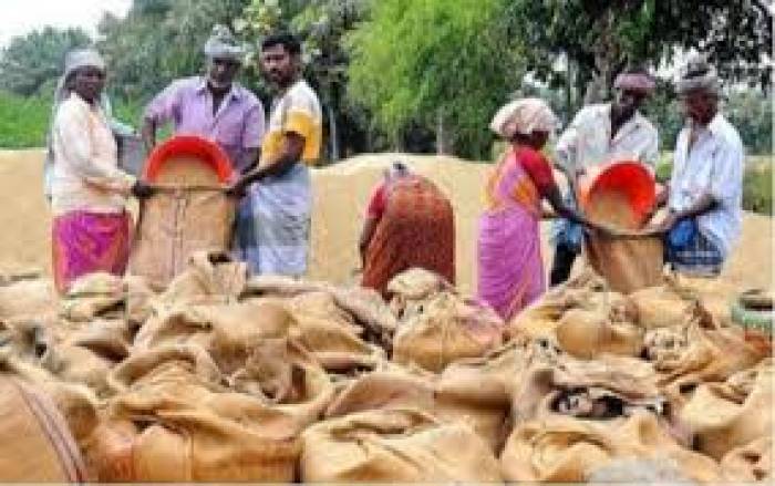 சேத்தூர் அடுத்த கோவிலுாரில் அரசு சார்பில் நெல் கொள்முதல் நிலையம் திறக்கப்பட்டுள்ளது.